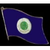 MINNESOTA PIN STATE FLAG PIN
